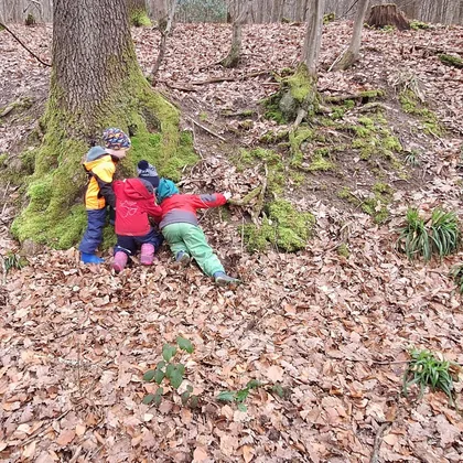 Drei Kinder erkunden die moosbewachsenen Wurzeln eines Baumes