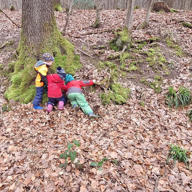 Drei Kinder aus größerer Entfernung an den Wurzeln eines alten Baumes