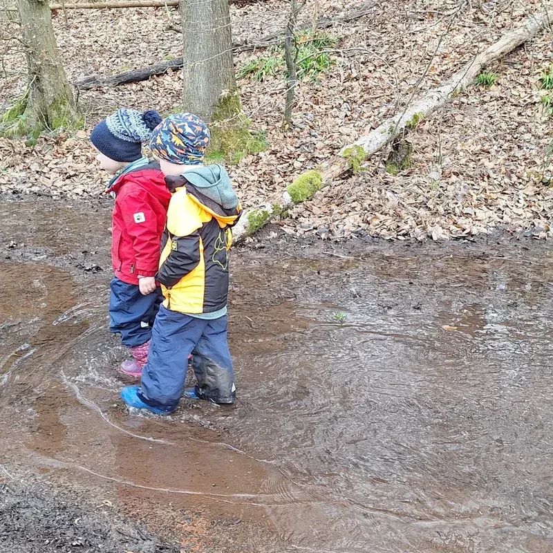 Zwei Kinder von hinten an einem flachen Bach im Wald