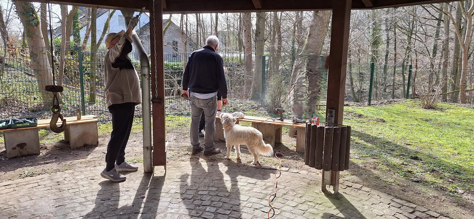 Mitglieder bei Arbeiten am Grillpavillon, daneben ein Hund und bereitgelegtes Werkzeug.
