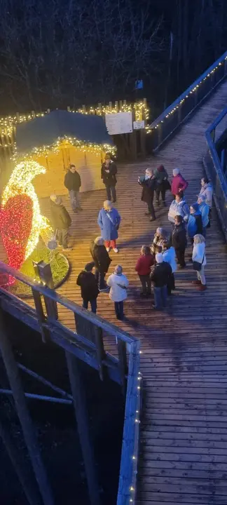 Beleuchteter Baumwipfelpfad bei einem Ausflug des Saarwald-Vereins Völklingen