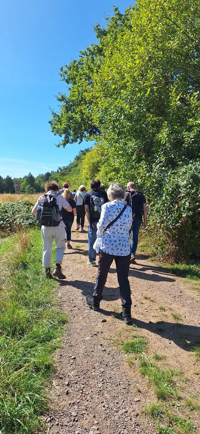 Wandernde mit Rucksäcken auf einem Weg zwischen Wiese und Bäumen