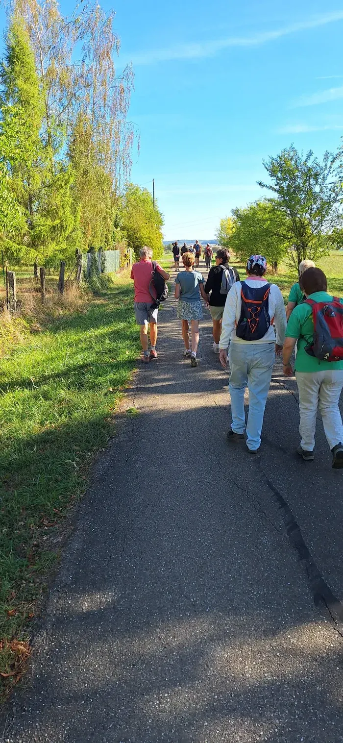 Wandergruppe auf einem befestigten Weg zwischen Bäumen und Wiesen