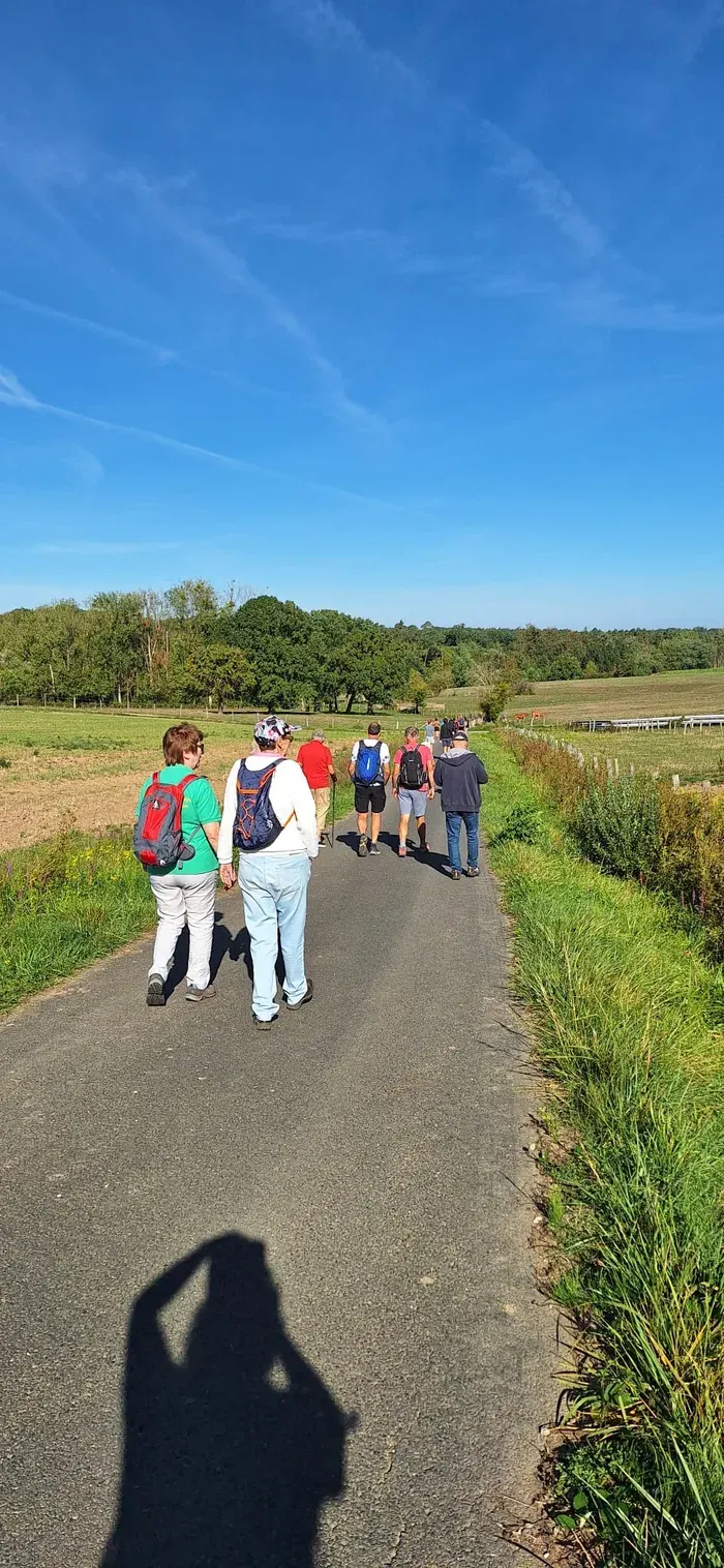 Wandernde auf einem Weg durch eine offene Wiesenlandschaft
