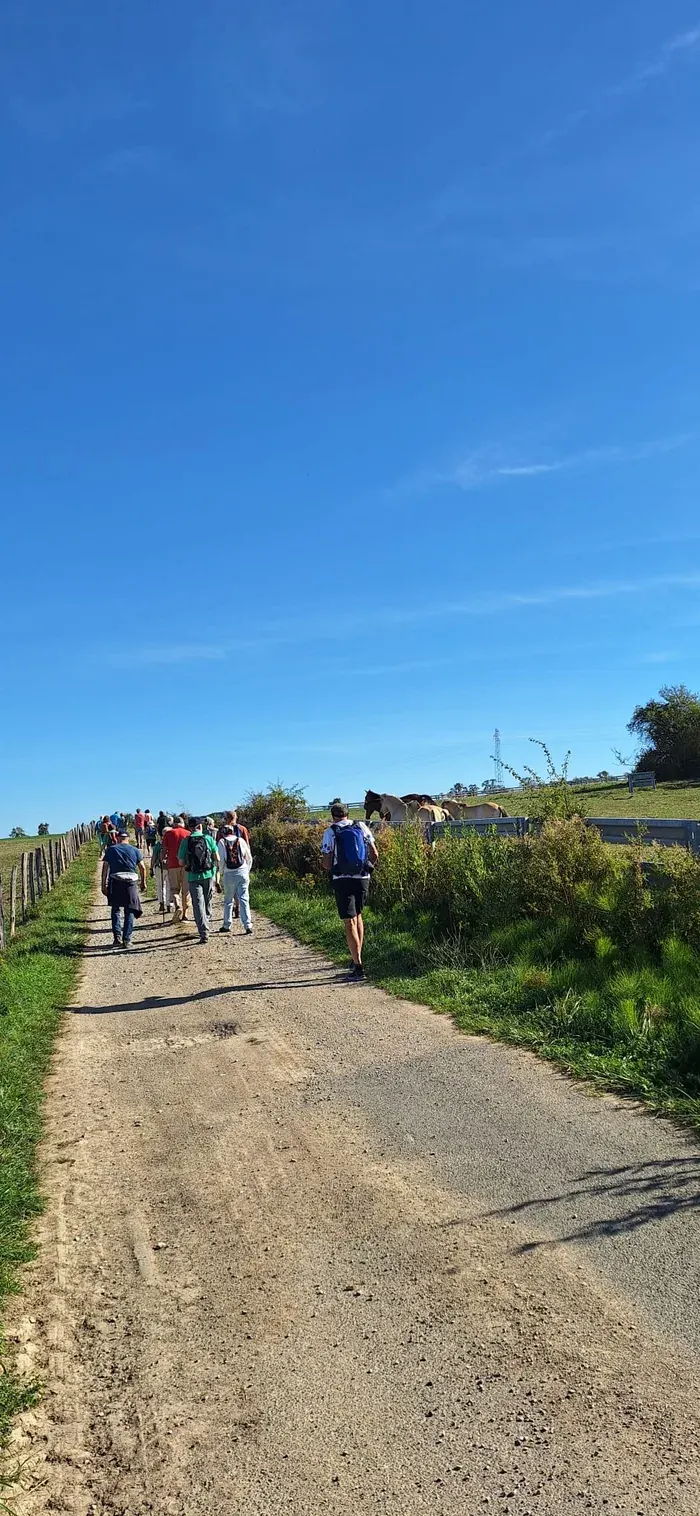 Wandergruppe von hinten auf einem Feldweg unter blauem Himmel