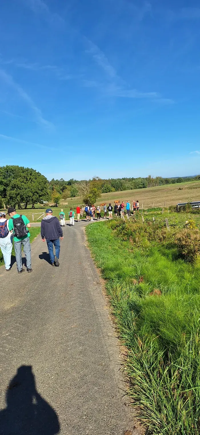 Wandernde auf einem kurvigen Weg zwischen grünen Wiesen