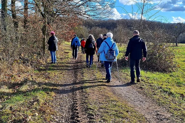 Wandergruppe von hinten auf einem sonnigen Weg im Saarland